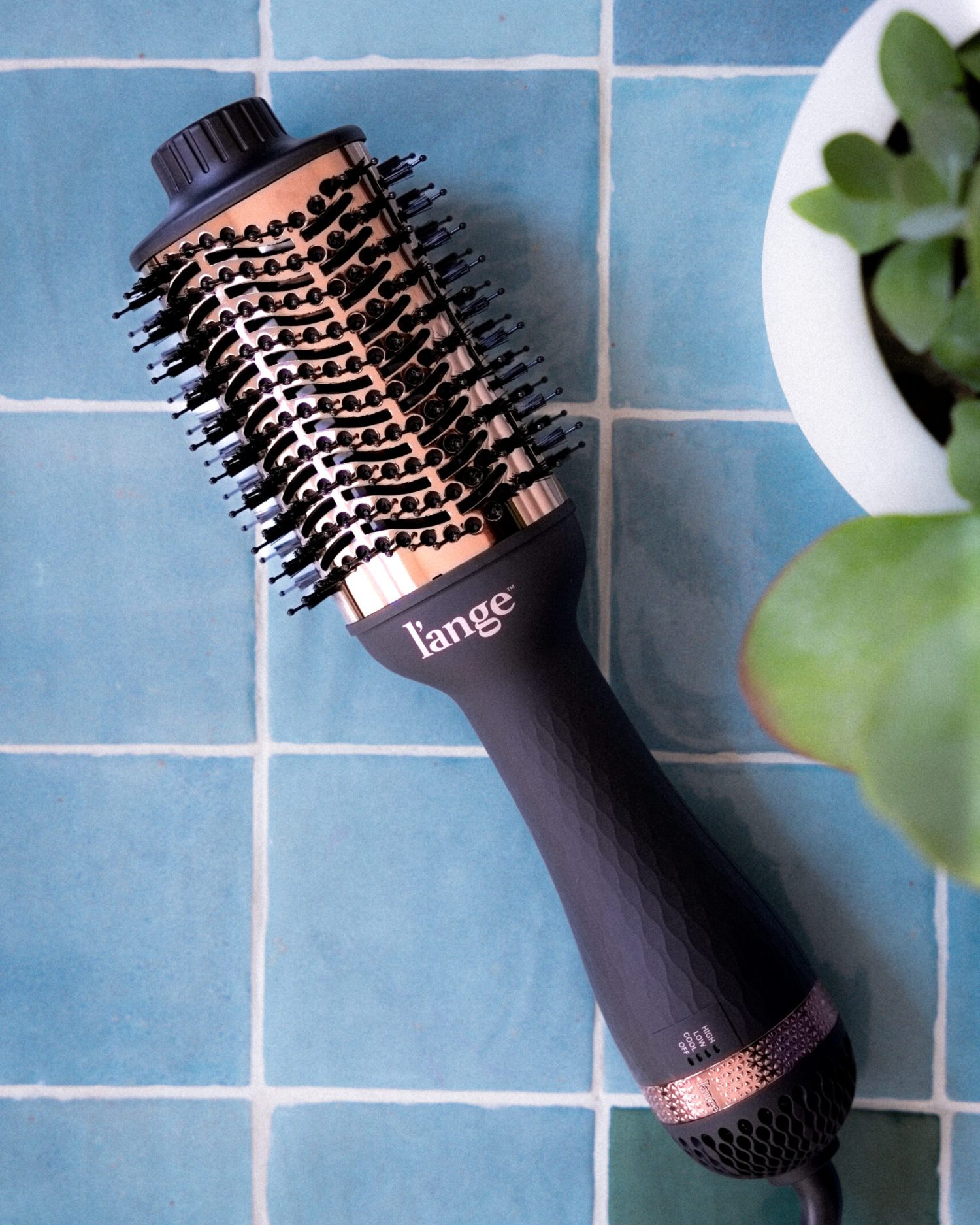 Minuit studio brand photography - flat lay of a drying hair brush from the brand L'ange on blue tiles and including a green plant in a white pot with a vintage but fresh summery vibe